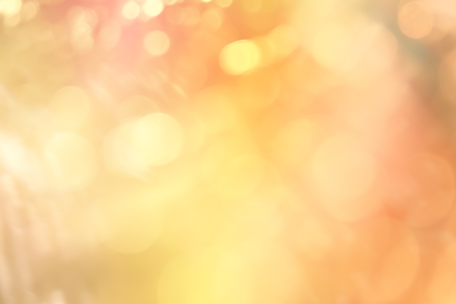 丕之出産業は女性が主役の会社です